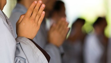 Phật tử là con của Phật, người đã phát tâm quy y Tam bảo, là tín đồ của Phật giáo...